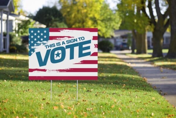 2024 Election Democrat Republican Yard Sign