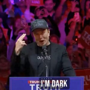 Elon Musk 