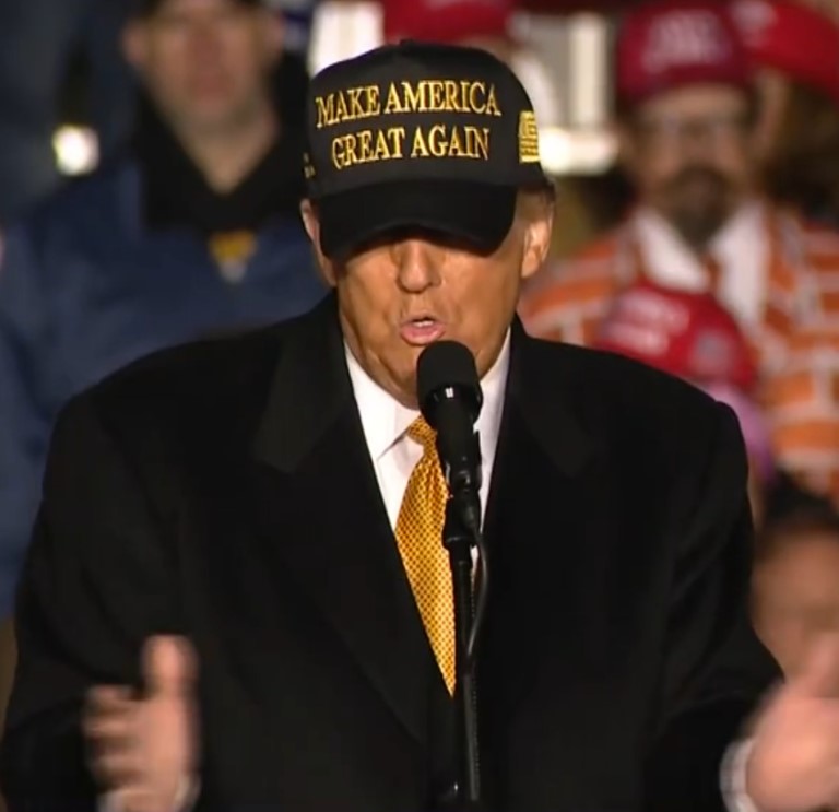 TRUMP DARK GOLD MAGA Navy HAT