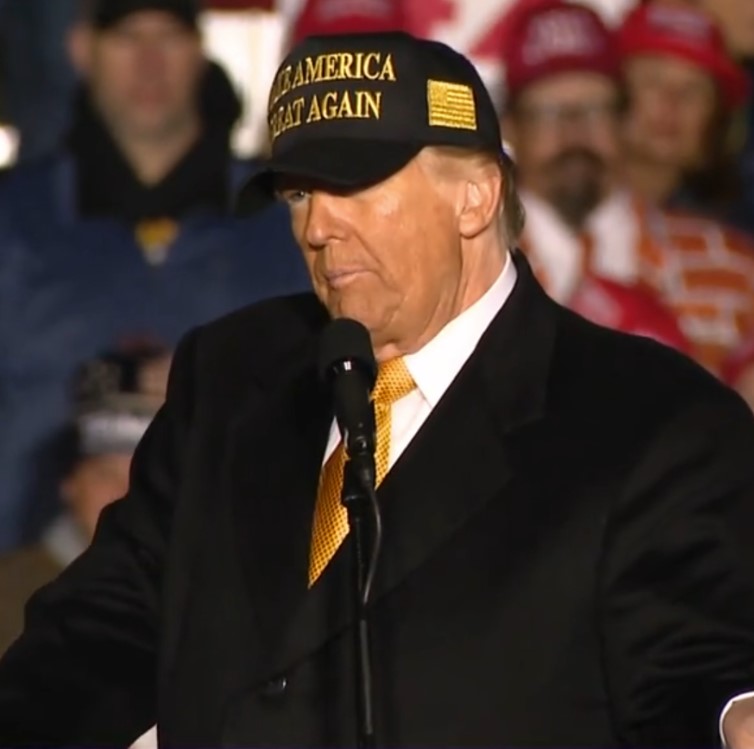 TRUMP DARK GOLD MAGA Navy HAT