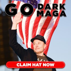 Official Trump - Elon Musk Dark MAGA Hat