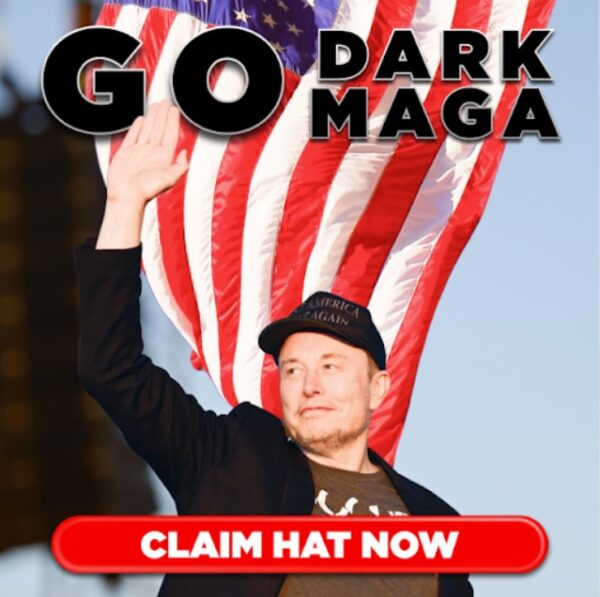 Official Trump - Elon Musk Dark MAGA Hat