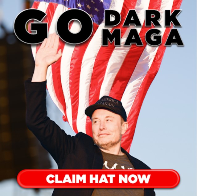 Official Trump - Elon Musk Dark MAGA Hat