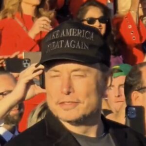 Official Trump - Elon Musk Dark MAGA Hat