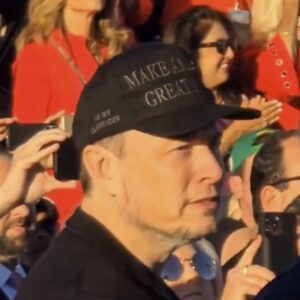Official Trump - Elon Musk Dark MAGA Hat