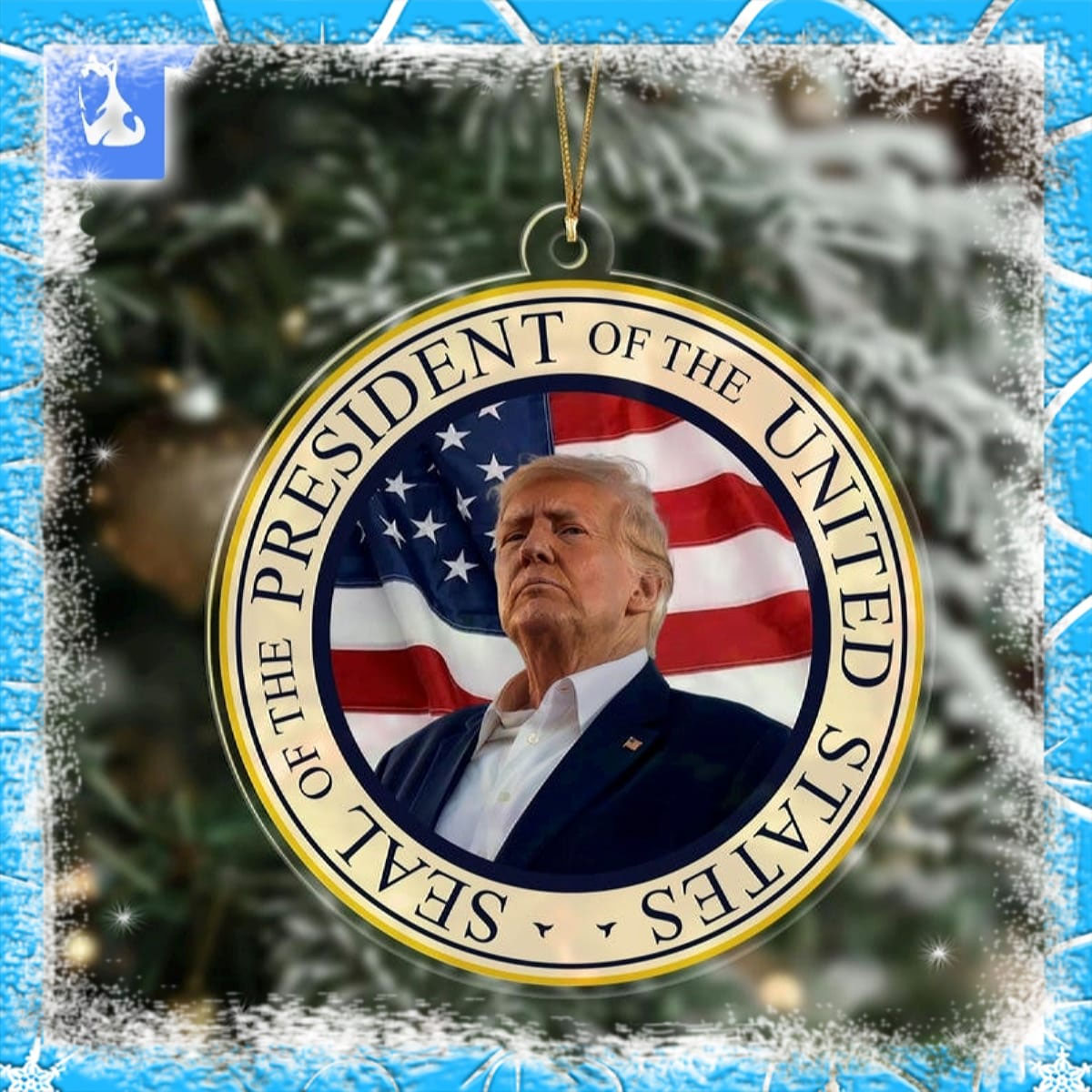 Donald Trump Inauguration Day 2025 Ornament Memorabilia 2025 Ornament