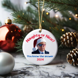 Trump Ornament, Trump Christmas Ornament 2024, Trump Ornament 2024, Trump Gifts For Men, Trump Gifts For Boyfriend