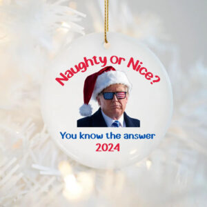 Trump Ornament, Trump Christmas Ornament 2024, Trump Ornament 2024, Trump Gifts For Men, Trump Gifts For Boyfriend