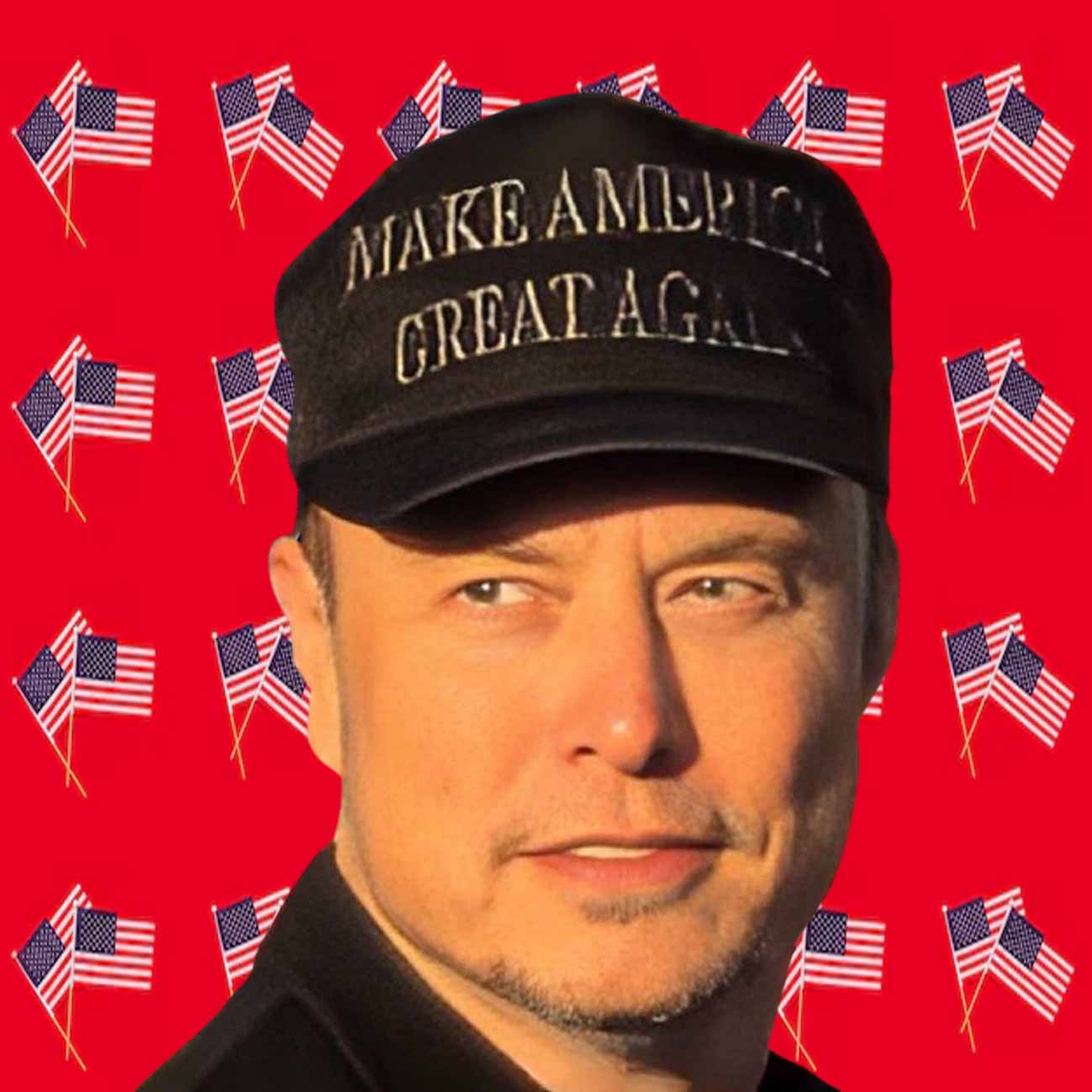 Trump Dark MAGA 2025 Hat