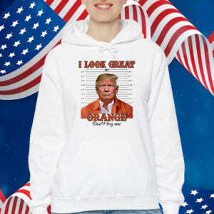 Trump mugshot I look great in orange don’t try me T-Shirt